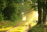 How Does Sunlight Exposure Affect Mood and Vitamin D Levels?